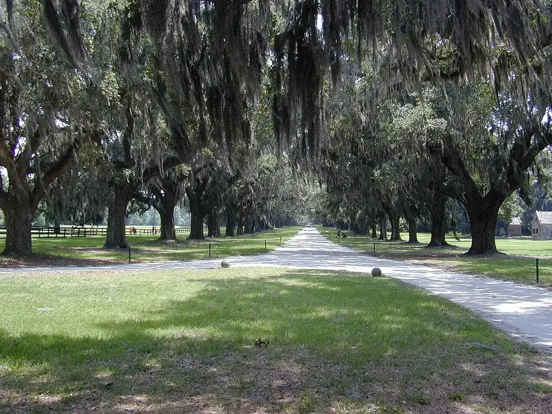 Mount Pleasant, South Carolina - from the city Wikipedia article